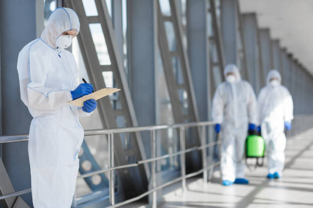 Best Black Mold Removal  in Malone, FL