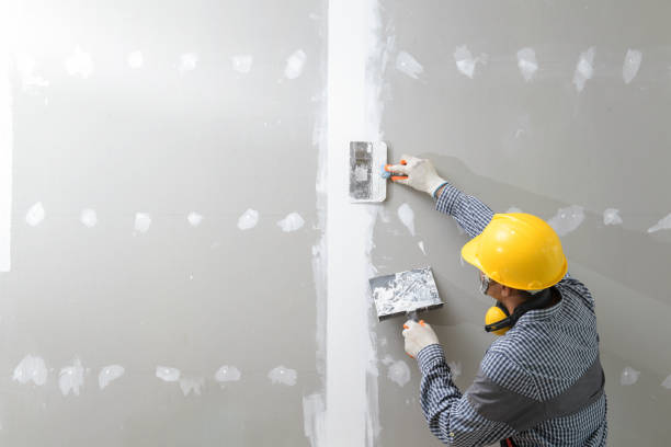 Best Forensic Mold Investigation  in Malone, FL