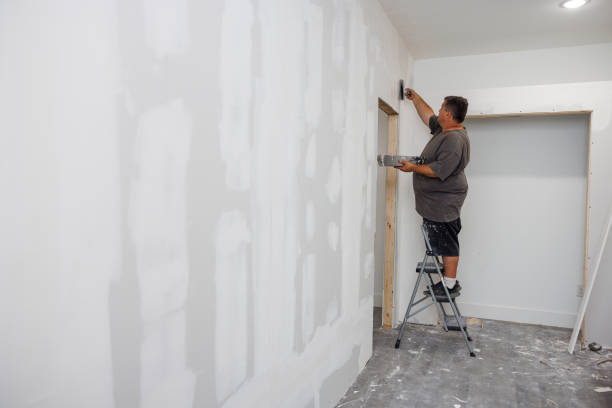 Best Attic Mold Removal  in Malone, FL