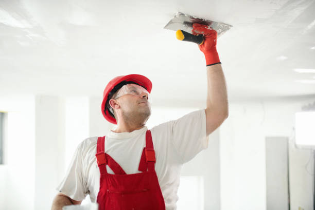 Best Black Mold Removal  in Malone, FL